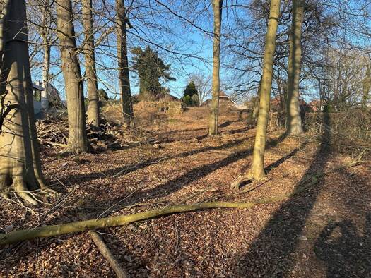 Grundstück zum Kauf 610.000 € 4.645 m² Grundstück frei ab 01.05.2026 Büchen 21514