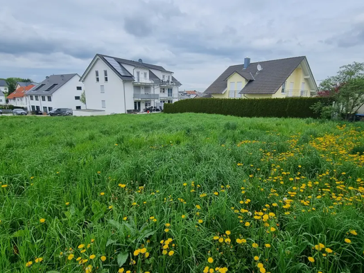 Grundstück zum Kauf 345.000 € 536 m² Grundstück Birkenfeld Birkenfeld, Enzkreis 75217