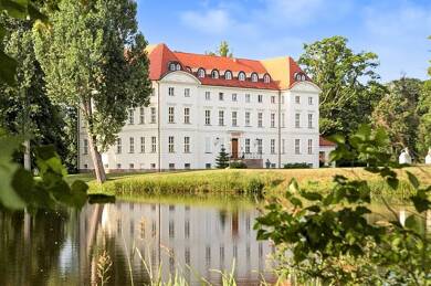 Schloss zum Kauf 3.700.000 € 39 Zimmer 3.300 m² 172.500 m² Grundstück Wedendorf Wedendorf 19217