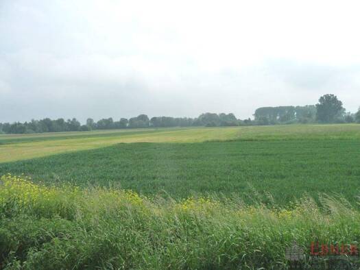 Grundstück zum Kauf 56.000 € 5.240 m² Grundstück Uttenhofen Stephansposching 94569