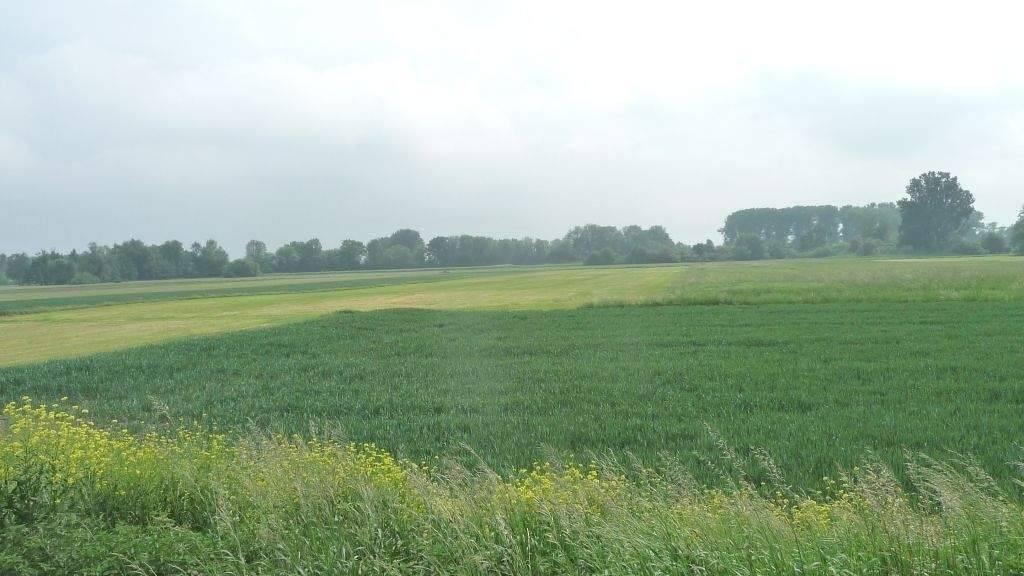 Grundstück zum Kauf 56.000 € 5.240 m² Grundstück Uttenhofen Stephansposching 94569