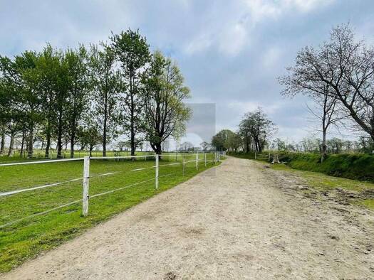 Einfamilienhaus zum Kauf 799.000 € 6 Zimmer 280 m² 43.000 m² Grundstück Oldersbek 25873