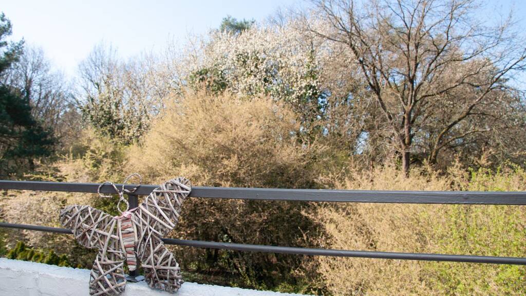 Wohnung zur Miete 978 € 3 Zimmer 74 m² frei ab 01.07.2026 Bieber Offenbach am Main 63073