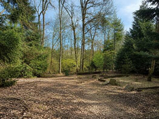 Grundstück zum Kauf 290.000 € 1.050 m² Grundstück Seppensen Buchholz in der Nordheide 21244