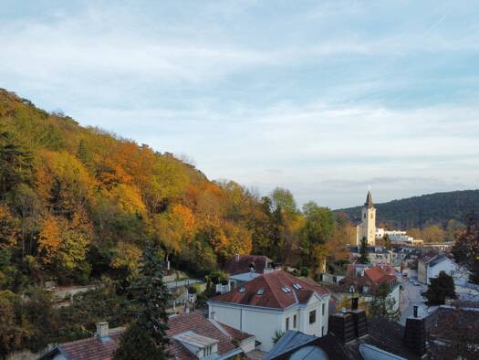 Grundstück zum Kauf 797.000 € 797 m² Grundstück Liesing 1230