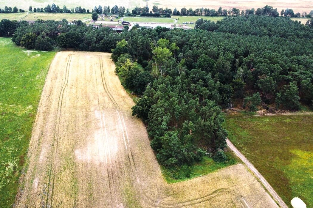 Land-/Forstwirtschaft zum Kauf 5.000 € 5.110 m²<br/>Grundstück Riebener Weg Rieben Beelitz OT Schönefeld 14547