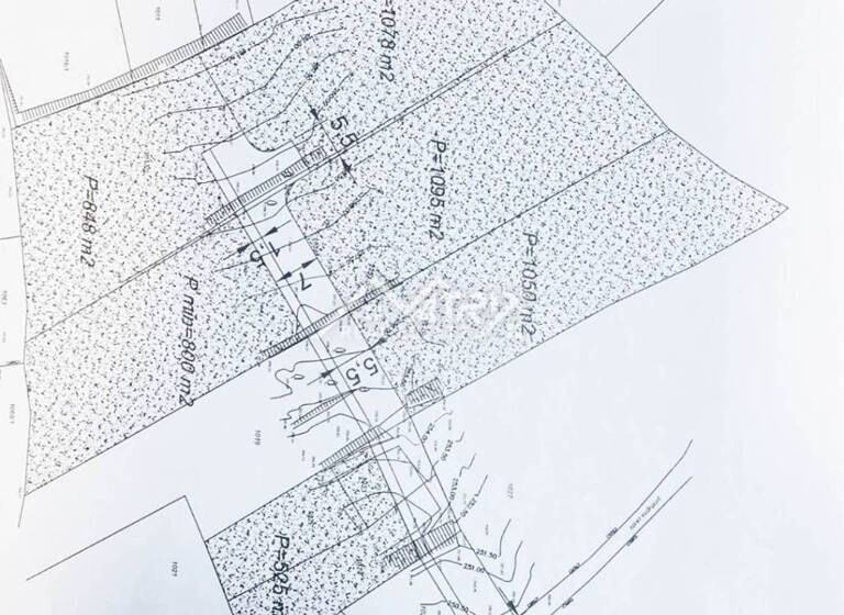 Land-/Forstwirtschaft zum Kauf 80.000 € Motovun Motovun