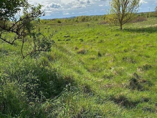 Grundstück zum Kauf 431.145 € 11.055 m² Grundstück Wendorf Wismar 23968