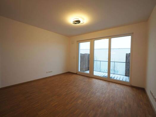 Wohnung zur Miete 920 € 2 Zimmer 54 m² 1. Geschoss frei ab 01.03.2026 Lohbrügge Hamburg 21031