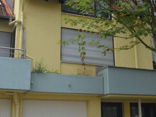 Wohnung zur Miete 715 € 2 Zimmer 66 m² 2. Geschoss Laubenheim Mainz 55130