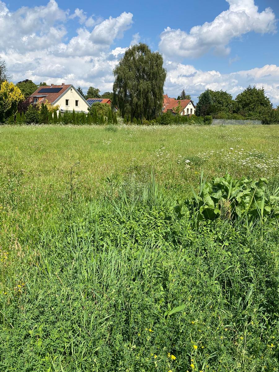 Grundstück zum Kauf 183.000 € 1.460 m²<br/>Grundstück Plau Plau am See 19395