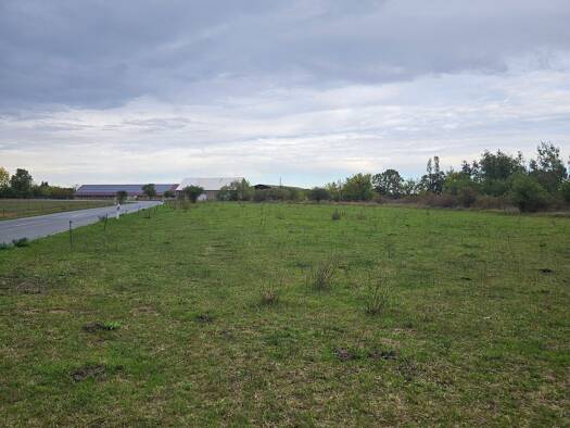 Landwirtschaftliche Fläche zum Kauf 199.999 € 3.800 m² 26.500 m² Grundstück Boragker Straße 12 Mühlberg Mühlberg/Elbe 04931