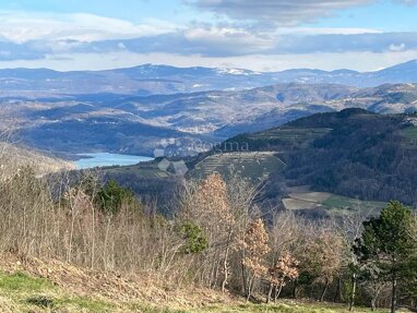 Land-/Forstwirtschaft zum Kauf 220.000 € Pazin 52000