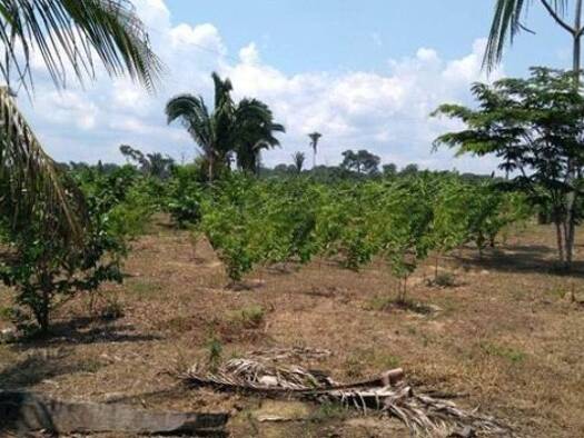 Grundstück zum Kauf 269.000 € Manaus 69820000