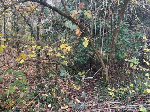 Grundstück zum Kauf 165.000 € 900 m² Grundstück frei ab sofort Sinzig 53489