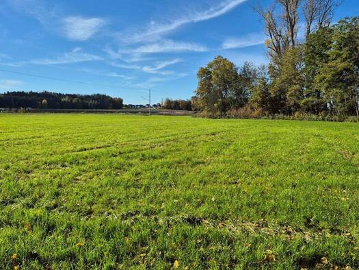 Landwirtschaftliche Fläche zum Kauf 94.000 € 16.424 m² 16.424 m² Grundstück Obermoosmühl Obermoosmühl Markt Indersdorf 85229