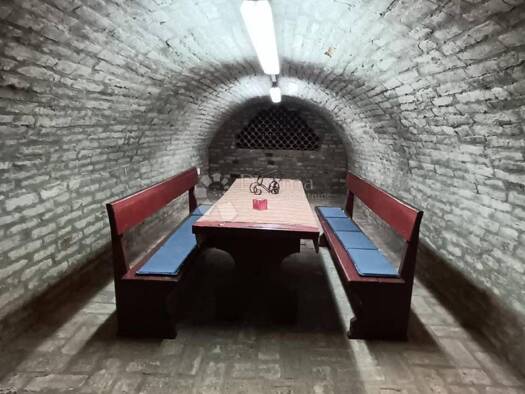 Haus zum Kauf 550.000 € 9 Zimmer 730 m² Zmajevac, Knezevi Vinogradi Kneževi Vinogradi