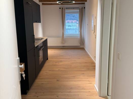 Wohnung zur Miete 700 € 1,5 Zimmer 37 m² 3. Geschoss Bratfischwinkel 8 Altstadt Passau 94032