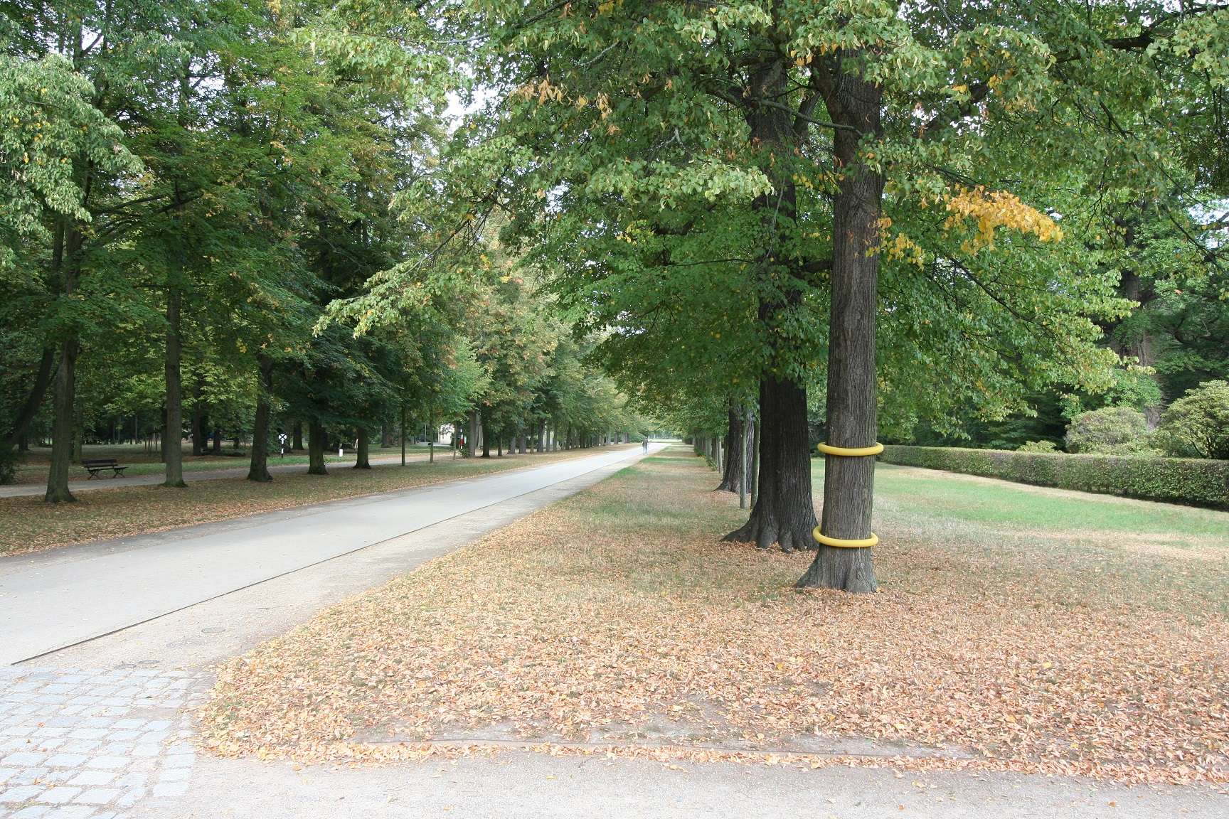 Property thumbnail 22