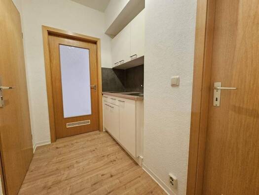 Wohnung zur Miete 219 € 2 Zimmer 36,6 m² 1. Geschoss Georg-Landgraf-Straße 25 Kaßberg Chemnitz 09112