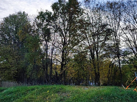 Grundstück zum Kauf 199.000 € 1.025 m² Grundstück Pulsnitz 01896