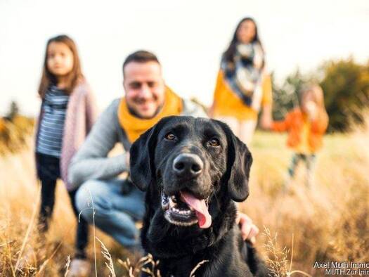 Grundstück zum Kauf 165.000 € 446 m² Grundstück frei ab sofort Hebelstraße 13/1 Stebbach Gemmingen / Stebbach 75050