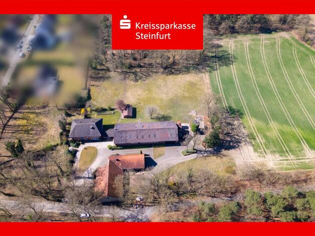 Bauernhaus zum Kauf 12 Zimmer 370 m² 45.591 m² Grundstück Halen Lotte 49504