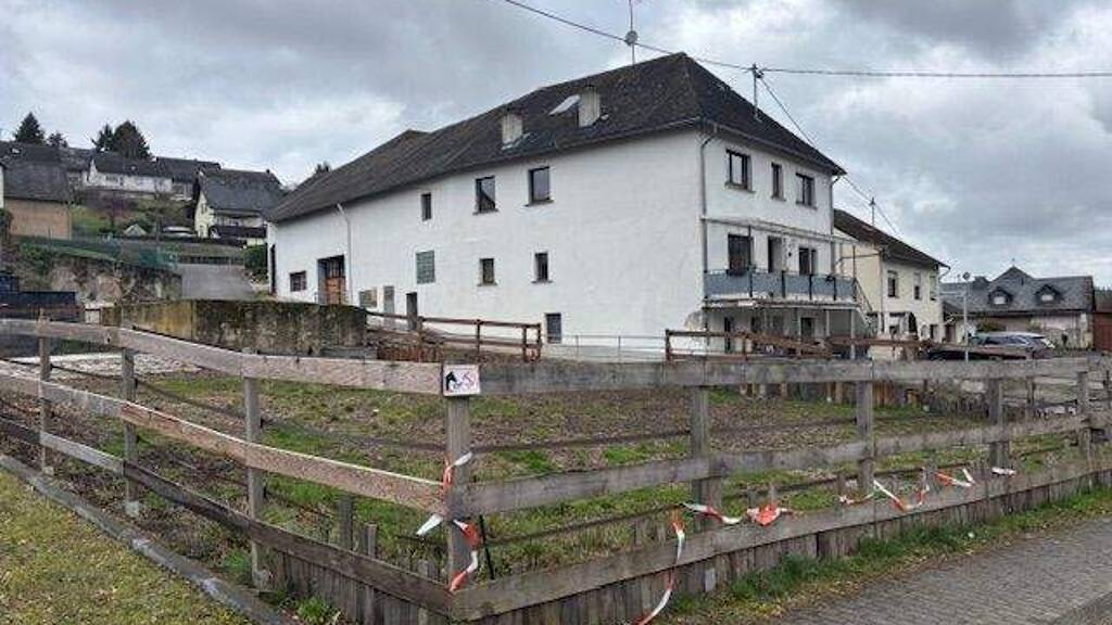Bauernhaus zum Kauf 199.000 € 1 Zimmer 250 m² 32.472 m² Grundstück frei ab sofort Berglicht 54426