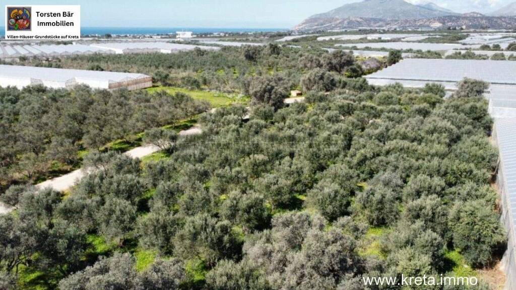 Land-/Forstwirtschaft zum Kauf 40.000 € 4.000 m² Grundstück Timbaki 702 00