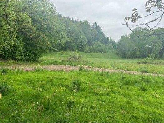 Grundstück zum Kauf 350.000 € 7.100 m² Grundstück Sciegny 58-534