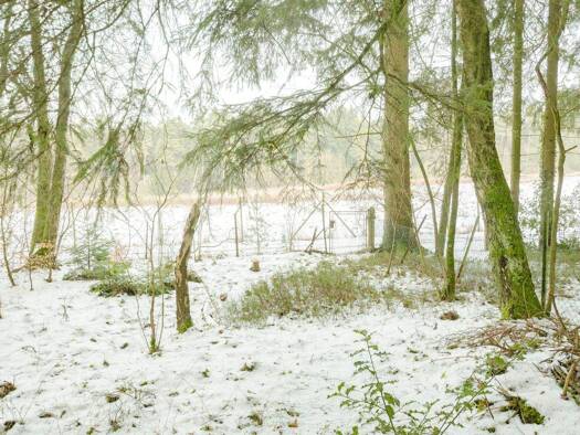 Grundstück zum Kauf 245.000 € 2.564 m² Grundstück frei ab sofort Rade Neu Wulmstorf 21629