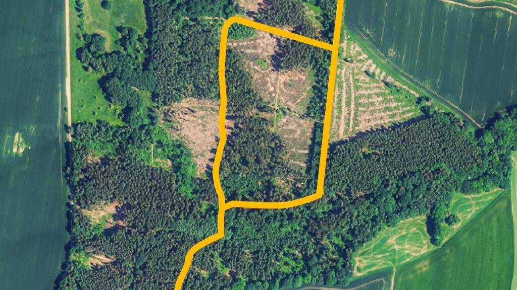Land-/Forstwirtschaft zur Versteigerung 1.000 € 8.270 m² Grundstück Ebersbach Königshain 02829