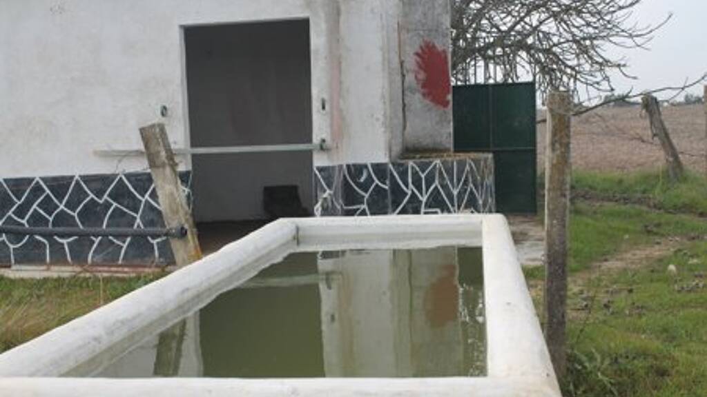 Bauernhaus zum Kauf 97.000 € 2 Zimmer 50 m² 40.000 m² Grundstück Rociana del Condado 21720