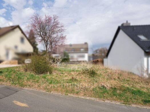 Grundstück zum Kauf 155.000 € 455 m² Grundstück Much 53804