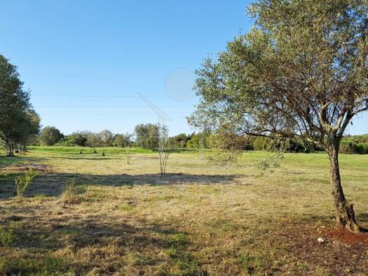 Grundstück zum Kauf 190.000 € 27.672 m² Grundstück Rovinjsko Selo 52210