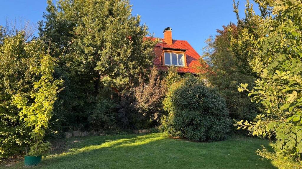 Einfamilienhaus zum Kauf 380.000 € 7 Zimmer 248 m² 2.085 m² Grundstück Ostrau 04749