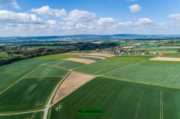 Land-/Forstwirtschaft zum Kauf, Saara