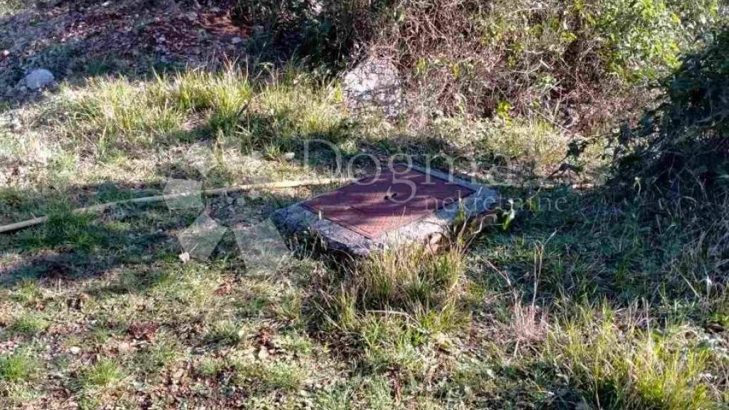 Land-/Forstwirtschaft zum Kauf 183.000 € Starigrad