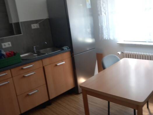 Wohnung zur Miete 800 € 2 Zimmer 50 m² frei ab sofort Fürstenberg Konstanz 78467