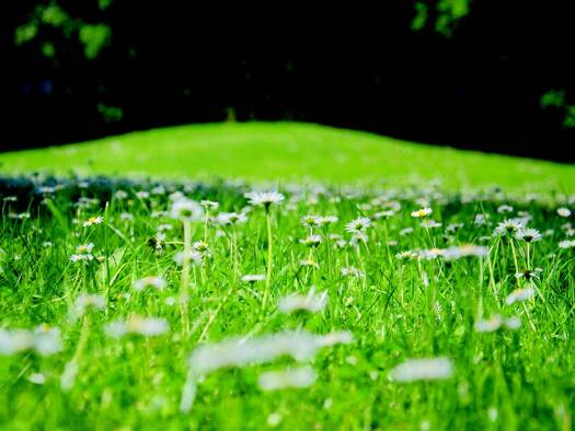 Grundstück zum Kauf 1.495.000 € 749 m² Grundstück Pasing-Obermenzing München 81241