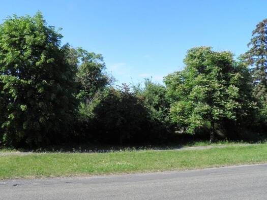 Grundstück zum Kauf als Kapitalanlage geeignet 32.000 € 781 m² Grundstück Straße des Friedens 51 Sachsendorf Lindendorf 15306