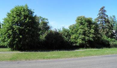 Grundstück zum Kauf als Kapitalanlage geeignet 32.000 € 781 m² Grundstück Straße des Friedens 51 Sachsendorf Lindendorf 15306