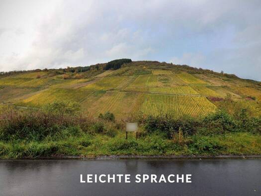 Grundstück zum Kauf 88.000 € 636 m² Grundstück St.-Laurentius-Straße 5 Waldrach 54320