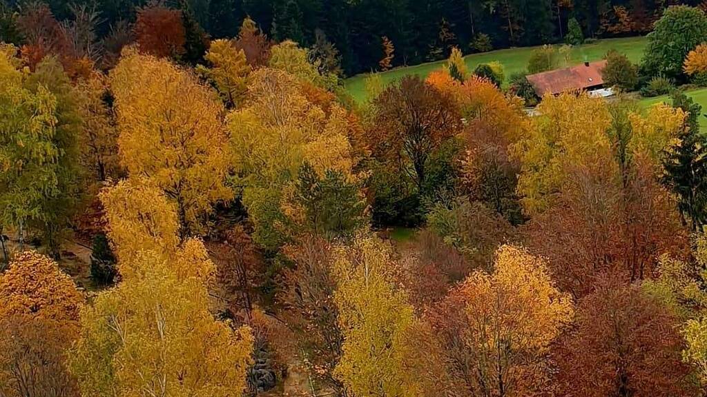 Grundstück zum Kauf 990.000 € 35.000 m² Grundstück Spiegelau 94518