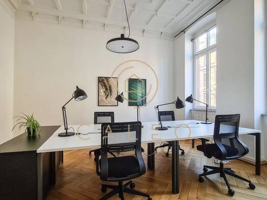Bürofläche zur Miete provisionsfrei 50 m² Bürofläche teilbar ab 1 m² Neckarstadt Neckarstadt - West 68169