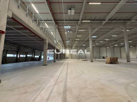 Lagerhalle zur Miete provisionsfrei 20.000 m² Lagerfläche teilbar ab 6.200 m² Quettingen Leverkusen 51381