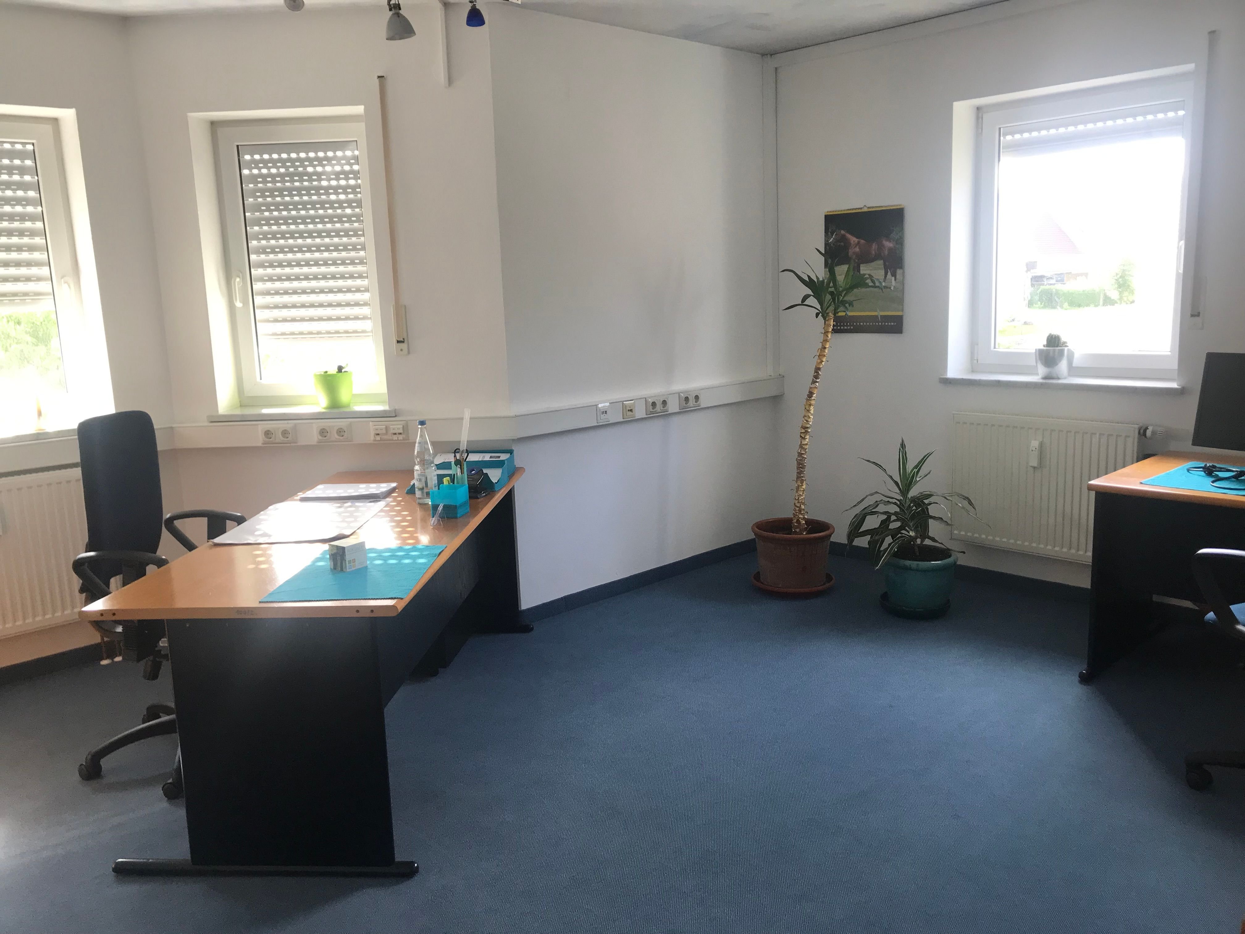 Bürofläche zur Miete provisionsfrei 285 € 1 Zimmer 18 m²<br/>Bürofläche Scheppach Jettingen-Scheppach 89343