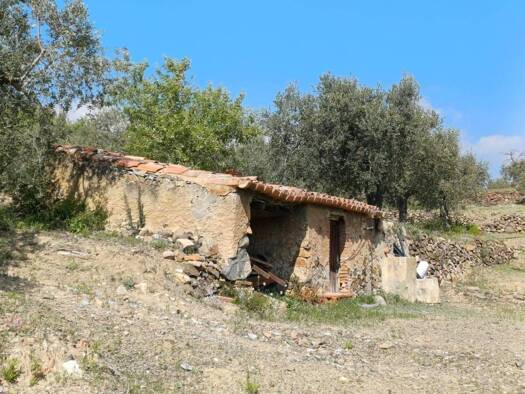 Acker-/Waldstück zum Kauf 78.000 € Riudecanyes 43771