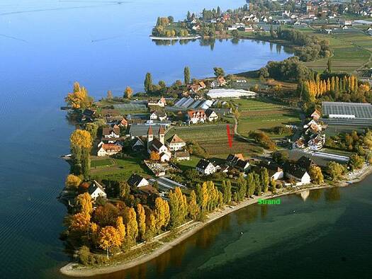 Studio zur Miete 570 € 2 Zimmer 46 m² Geschoss EG/3 frei ab 01.05.2026 Niederzeller Strasse 35 Reichenau 78479