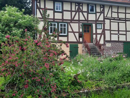 Terrassenwohnung zur Miete 500 € 4 Zimmer 80 m² Geschoss EG/2 frei ab sofort Frielingen Kirchheim 36275